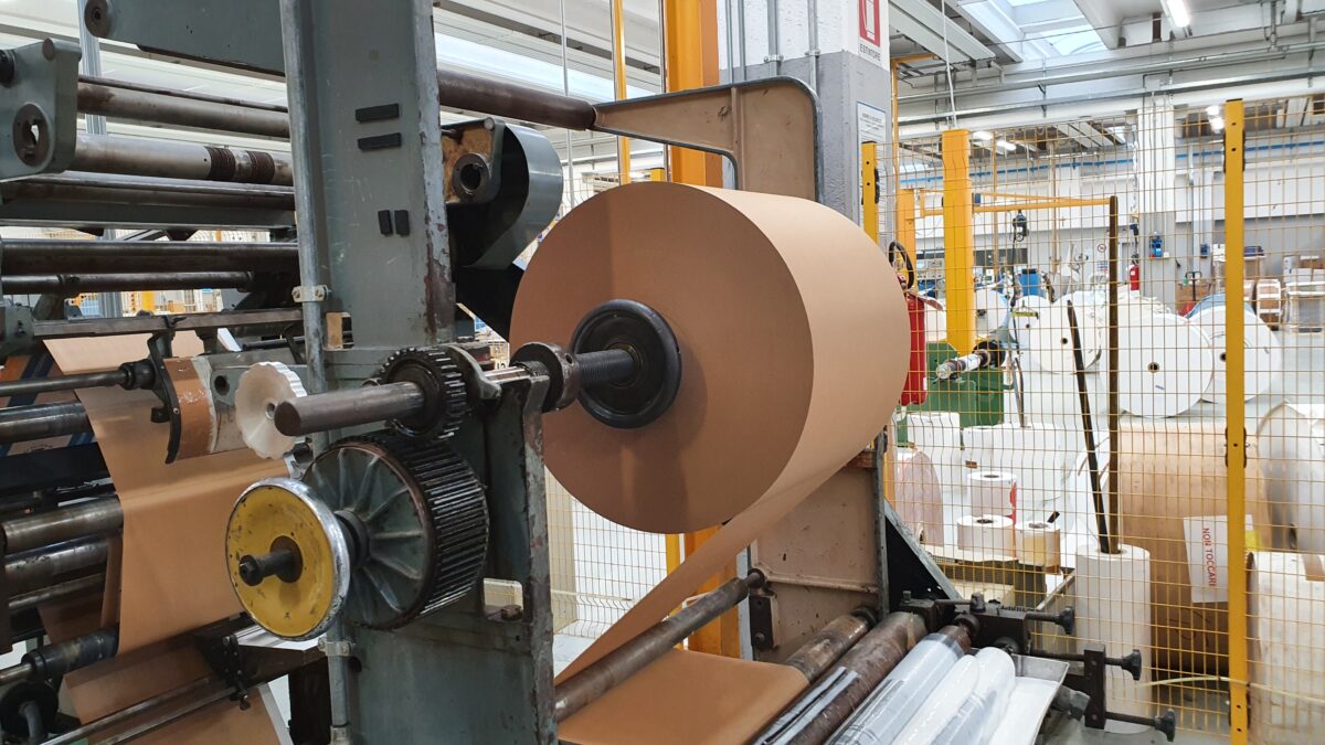 W&H Triumph 3 anni 1970 ristrutturata e aggiornata in perfetto stato - Immagine 5